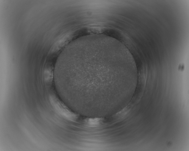 X0000113610134200910021813