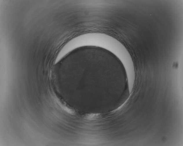 X0000113610136200910021813