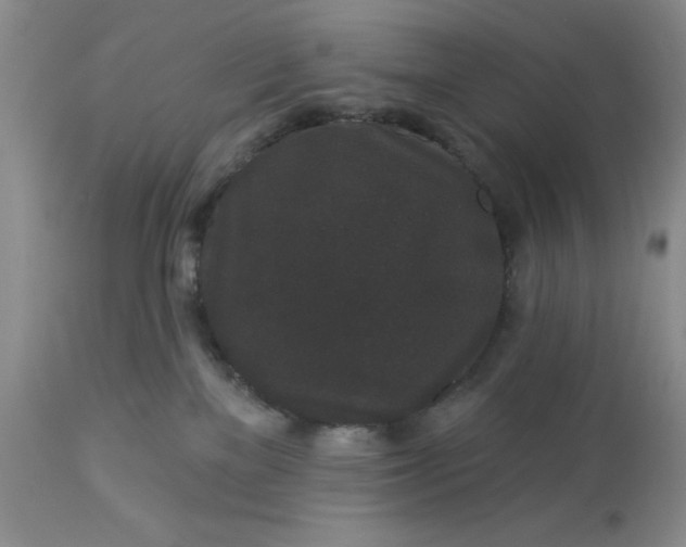 X0000113610137200910021813