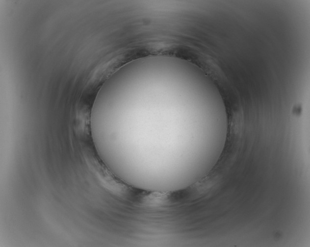 X0000113610138200910021813