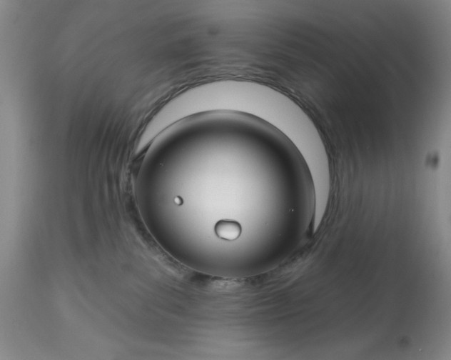 X0000113610139200910021813