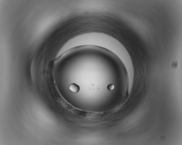 X0000113610140200910021813