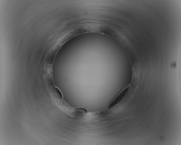 X0000113610141200910021812