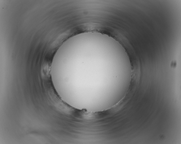 X0000113610142200910021812