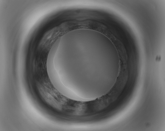 X0000113610143200910021812