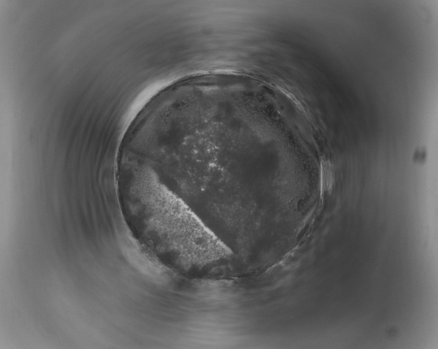 X0000113610147200910021812