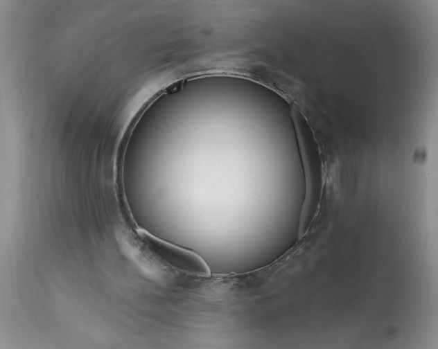 X0000113610148200910021812