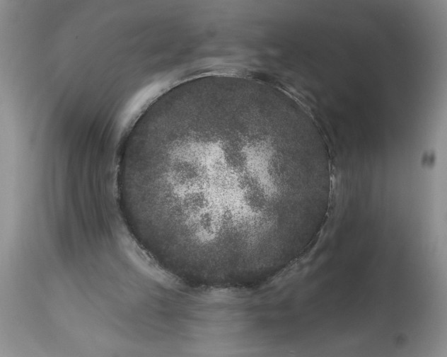 X0000113610149200910021812