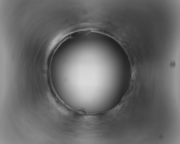 X0000113610150200910021812