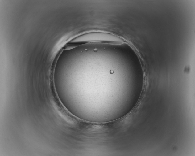 X0000113610151200910021812