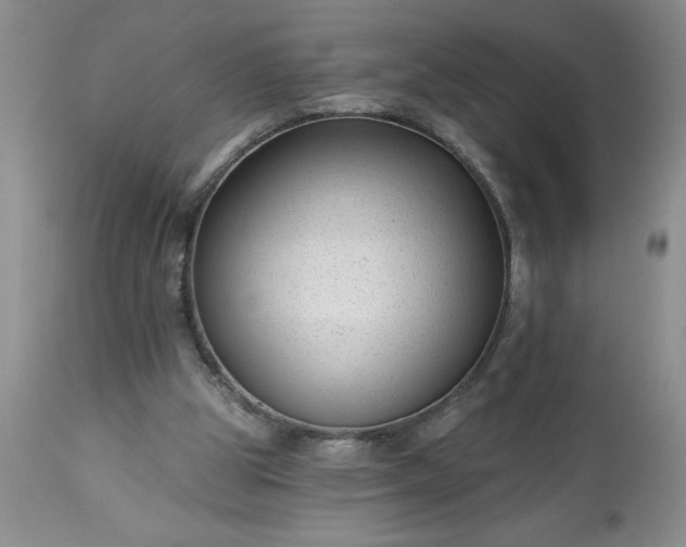 X0000113610153200910021812