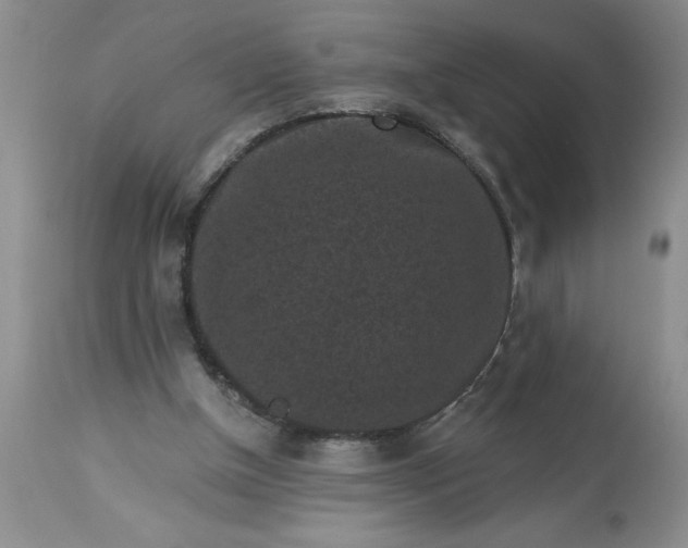 X0000113610154200910021812