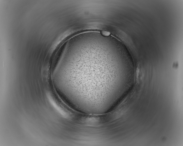 X0000113610156200910021812