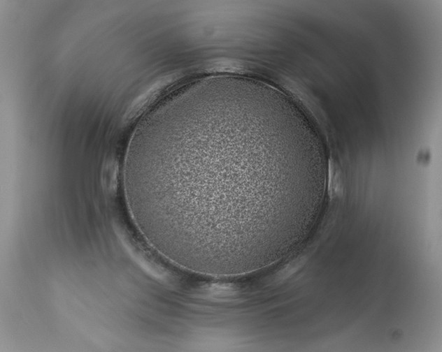 X0000113610157200910021812