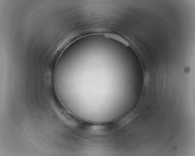 X0000113610158200910021812