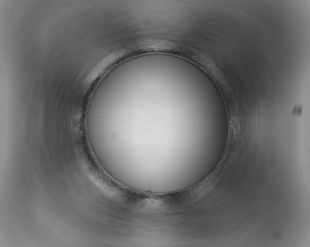 X0000113610159200910021812