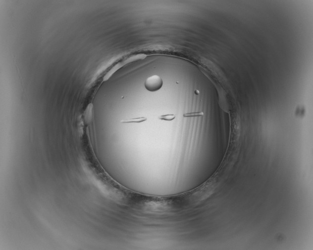 X0000113610160200910021812