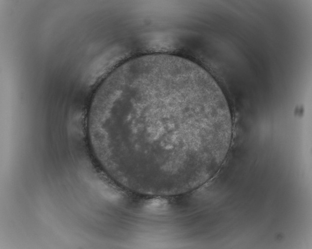 X0000113610162200910021812