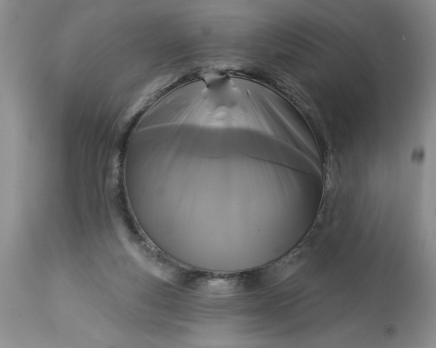 X0000113610163200910021812