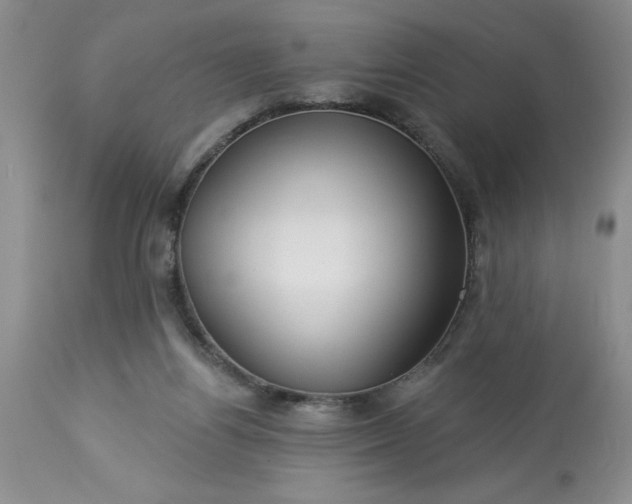 X0000113610164200910021812