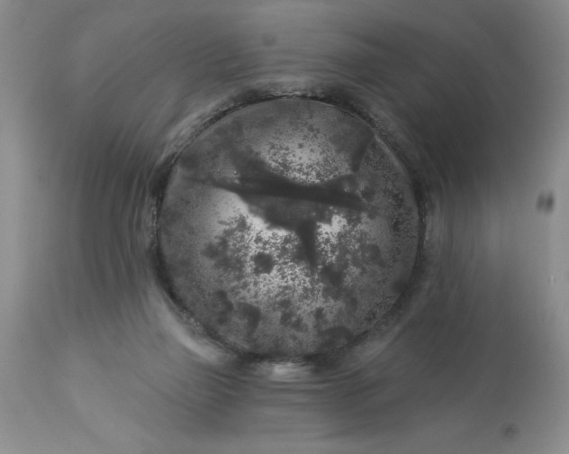 X0000113610165200910021812