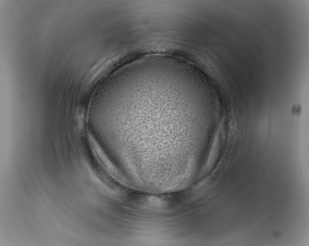 X0000113610166200910021812