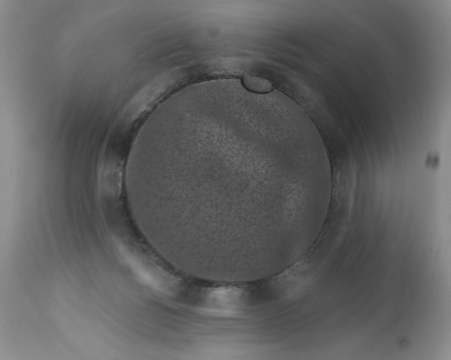 X0000113610168200910021812