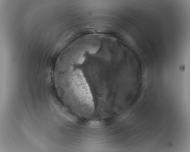 X0000113610169200910021812