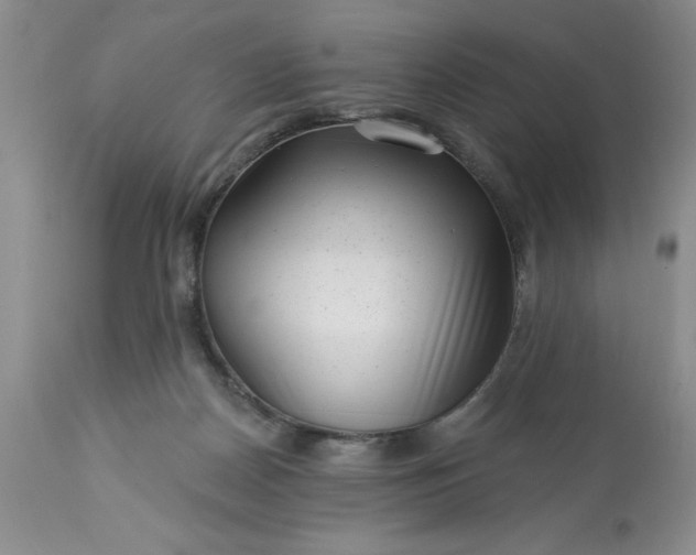 X0000113610170200910021812