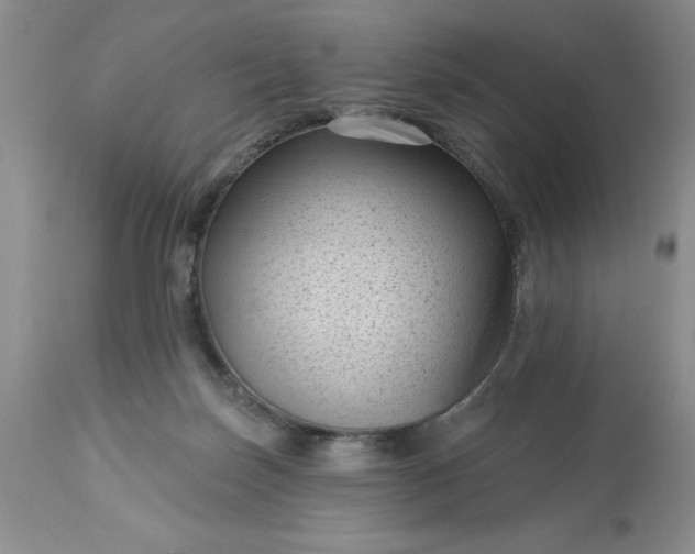 X0000113610171200910021812