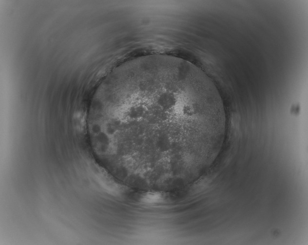 X0000113610177200910021812