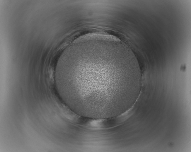 X0000113610178200910021812