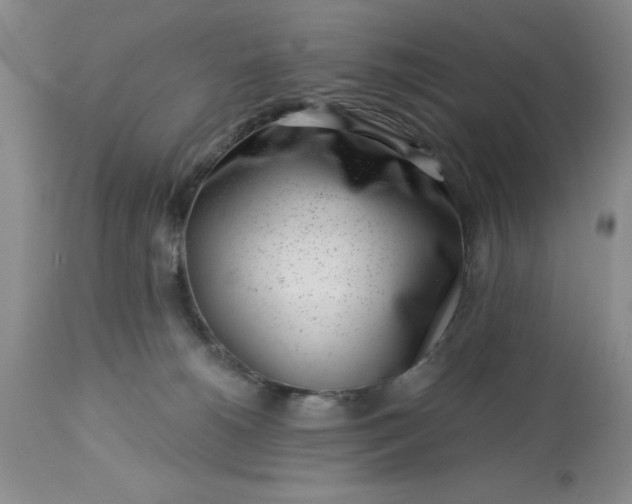 X0000113610180200910021812