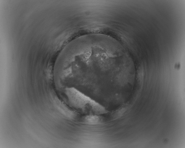 X0000113610181200910021812