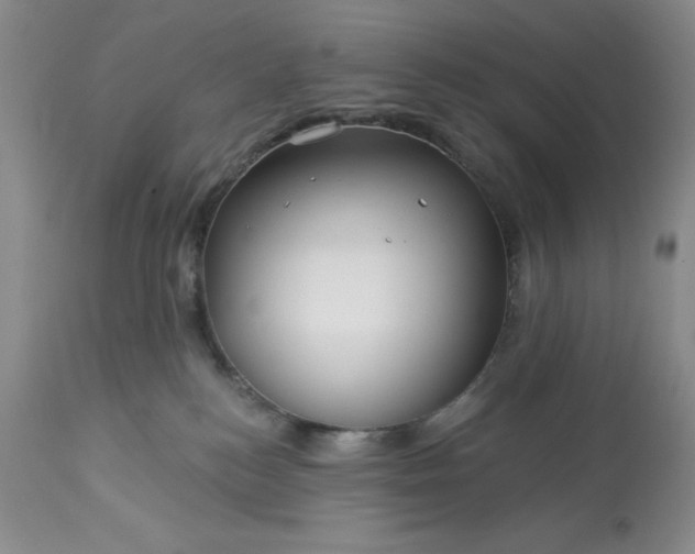 X0000113610184200910021812