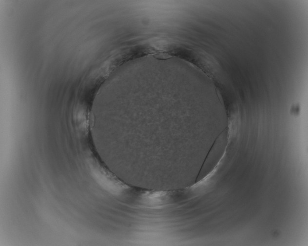 X0000113610186200910021812