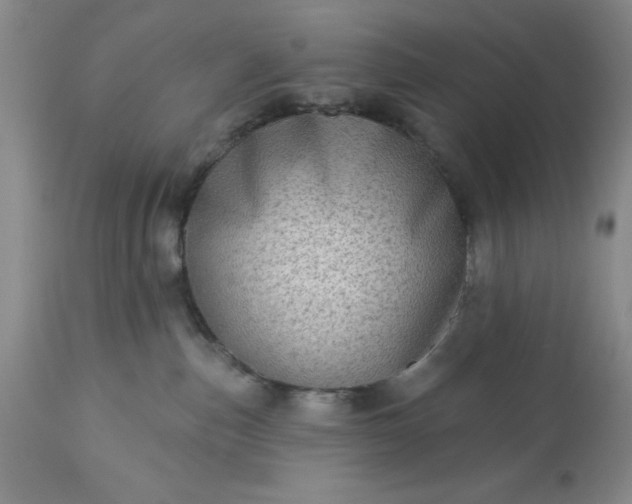 X0000113610187200910021812