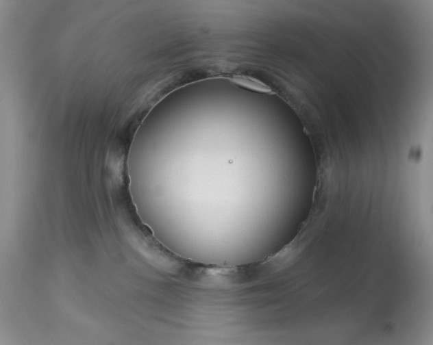 X0000113610188200910021812