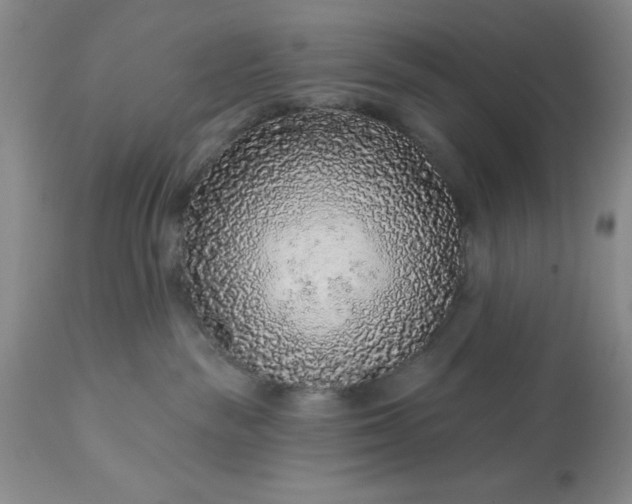 X0000113610189200910021812