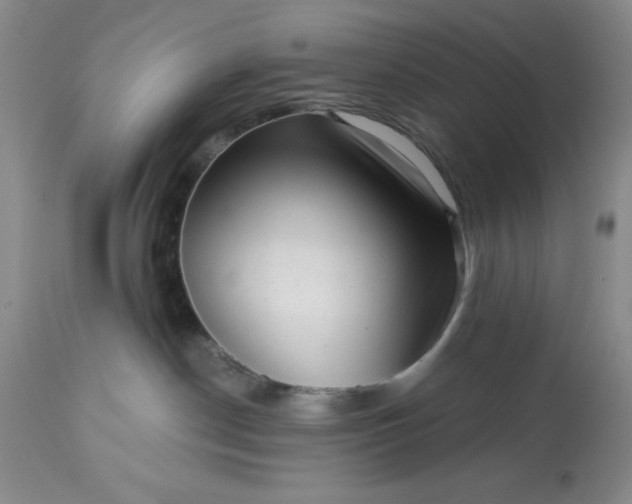 X0000113610190200910021812