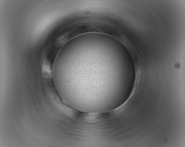 X0000113610191200910021812