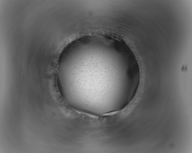 X0000113610192200910021812