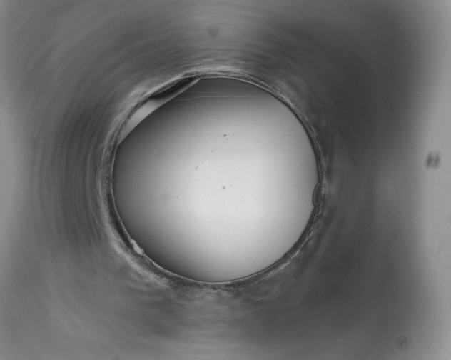 X0000113610193200910021812