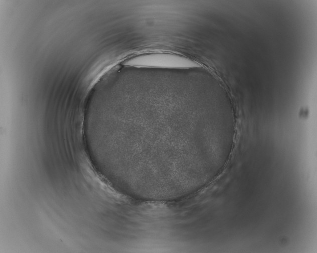 X0000113610194200910021812