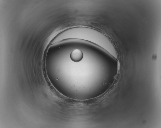 X0000113610195200910021812