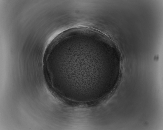 X0000113610196200910021812