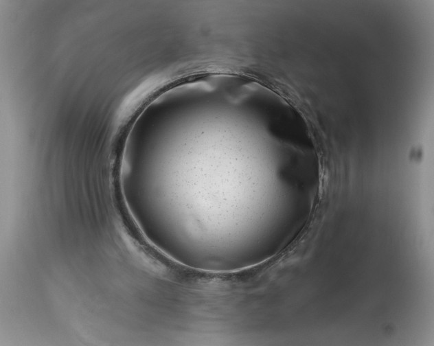 X0000113610197200910021812