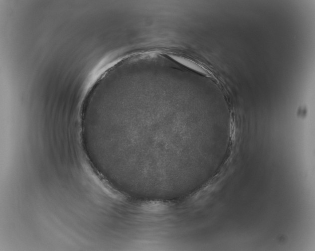 X0000113610198200910021812