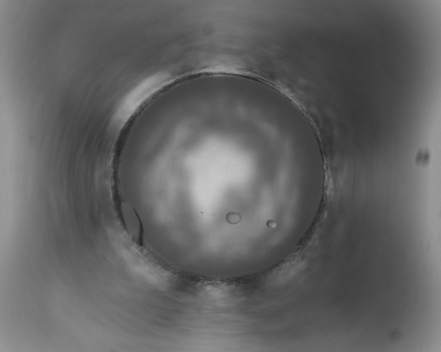 X0000113610199200910021812