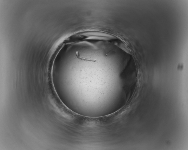 X0000113610200200910021812